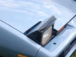 Używany 1982 Pontiac Firebird | 45 000 zł