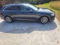 Używany 2015 Audi A4 | 75 000 zł