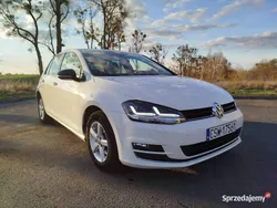 Biały Używany 2016 VW Golf VII Hatchback | 36 900 zł (Dobra cena)