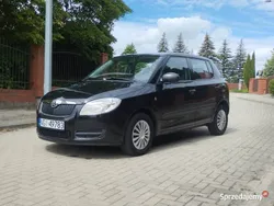 Czarny Używany 2010 Skoda Fabia Hatchback | 13 500 zł (Uczciwa cena)