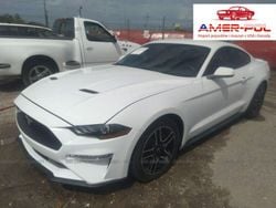 Biały Używany 2019 Ford Mustang Coupe | 87 000 zł