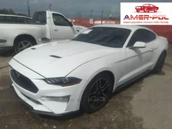 Biały Używany 2019 Ford Mustang Coupe | 87 000 zł