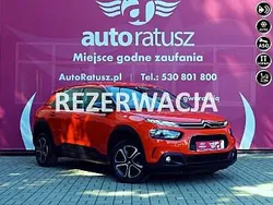 Czerwony Używany 2019 Citroën C4 Cactus Hatchback | 49 500 zł