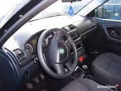 Niebieski Używany 2011 Skoda Fabia Hatchback | 13 900 zł (Super Cena)