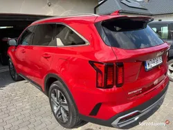 Używany 2023 Kia Sorento EX SUV | 175 700 zł