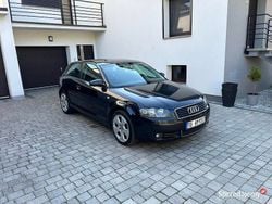 Czarny Używany 2004 Audi A3 Exclusive Hatchback | 9990 zł (Uczciwa cena)