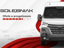 Szary (metalik) Używany 2024 Renault Trafic Van | 135 500 zł (Dobra cena)