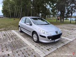 Srebrny Używany 2007 Peugeot 307 Hatchback | 9500 zł (Dość drogi)