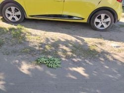 Żółtozłoty Używany 2014 Renault Clio IV Hatchback | 20 000 zł