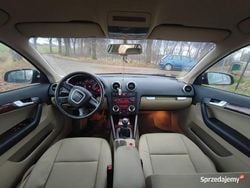 Używany 2005 Audi A3 | 9500 zł (Uczciwa cena)