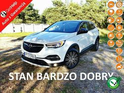 Biały Używany 2018 Opel Grandland X SUV | 53 990 zł (Dość drogi)