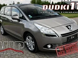 Złoty Używany 2010 Peugeot 5008 Minivan | 23 900 zł (Drogi)