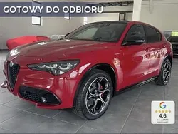 Czerwony Nowe 2025 Alfa Romeo Stelvio Veloce SUV | 253 300 zł