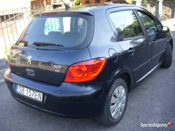 Używany 2007 Peugeot 307 | 5900 zł (Uczciwa cena)