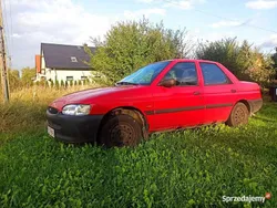 Czerwony Używany 1997 Ford Escort Sedan/Limuzyna | 1900 zł