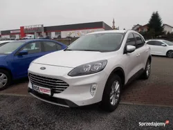 Biały Używany 2021 Ford Kuga SUV | 101 500 zł (Uczciwa cena)