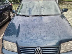 VW Bora
