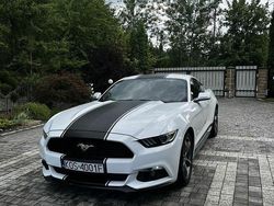 Biały Używany 2016 Ford Mustang Coupe | 85 000 zł (Dość drogi)