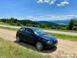 Używany 2003 Seat Ibiza | 10 269 zł