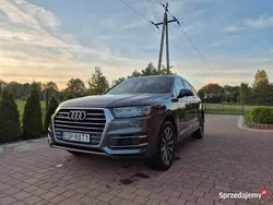Używany 2019 Audi Q7 SUV | 135 000 zł (Uczciwa cena)