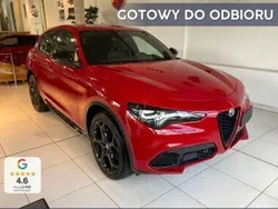 Czerwony Nowe 2024 Alfa Romeo Stelvio Premium SUV | 256 100 zł