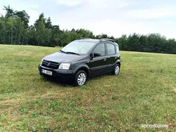 Czarny Używany 2010 Fiat Panda Hatchback | 8900 zł (Dobra cena)