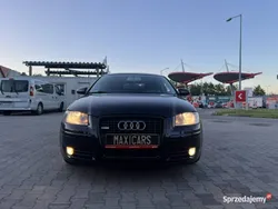 Czarny Używany 2007 Audi A3 Premium Hatchback | 14 900 zł (Uczciwa cena)