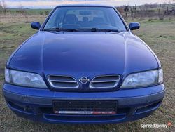 Używany 1996 Nissan Primera | 1900 zł