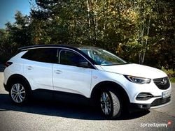 Biały Używany 2021 Opel Grandland X SUV | 65 900 zł (Uczciwa cena)