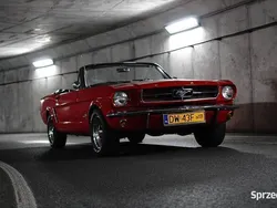 Czerwony Używany 1965 Ford Mustang Kabriolet | 129 000 zł