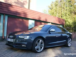 Używany 2008 Audi S5 | 58 000 zł