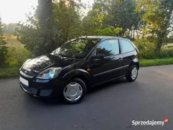 Używany 2007 Ford Fiesta Hatchback | 3500 zł (Dobra cena)