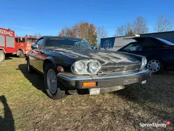 Używany 1989 Jaguar XJ12 Sedan/Limuzyna | 18 500 zł