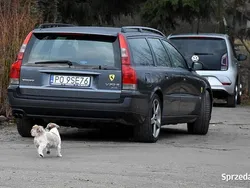 Używany 2003 Volvo V70 Performance Kombi | 55 000 zł