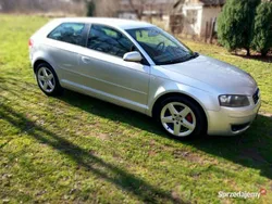 Używany 2004 Audi A3 | 8500 zł (Uczciwa cena)