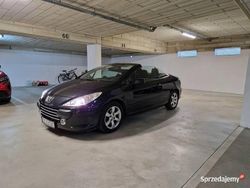 Używany 2006 Peugeot 307 | 12 500 zł