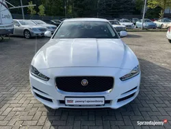 Biały Używany 2017 Jaguar XE Sedan/Limuzyna | 83 900 zł (Drogi)