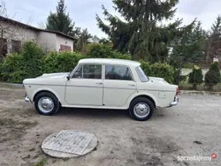 Używany 1964 Fiat 1100D | 8500 zł