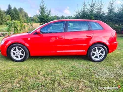 Używany 2005 Audi A3 S-Line | 12 900 zł (Uczciwa cena)