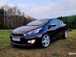 Używany 2013 Kia ProCeed 2 Hatchback | 26 900 zł