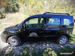 Używany 2010 Renault Kangoo Minivan | 17 900 zł (Drogi)