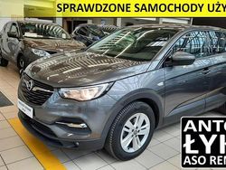 Szary Używany 2019 Opel Grandland X Business Edition SUV | 61 500 zł (Uczciwa cena)