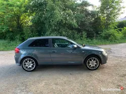 Używany 2006 Audi A3 | 16 500 zł (Drogi)