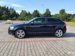 Używany 2009 Audi A3 | 16 000 zł (Uczciwa cena)