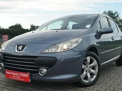 Szary Używany 2006 Peugeot 307 Hatchback | 7500 zł (Uczciwa cena)