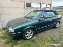 Zielony Używany 1993 Renault 19 Kabriolet | 7500 zł