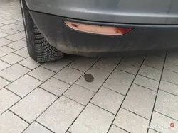 Używany 2008 VW Golf Plus Cross Minivan | 15 500 zł (Dość drogi)