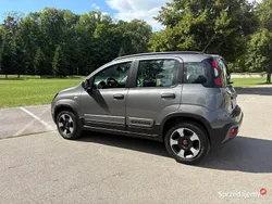 Szary Używany 2019 Fiat Panda Cross Hatchback | 39 900 zł