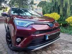 Wiśniowy Używany 2016 Toyota RAV4 Hybrid SUV | 83 500 zł (Drogi)
