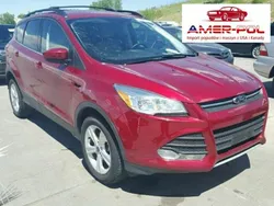 Czerwony Używany 2014 Ford Kuga SUV | 69 000 zł